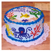 Birthday/All-Occasion Cakes 